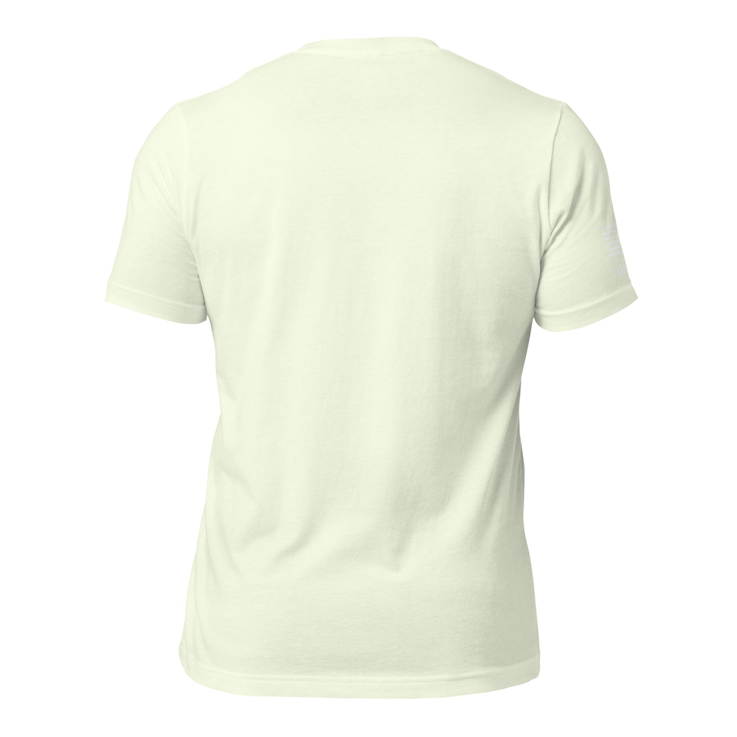 Unisex T-shirt in Assorted Colors w/American Flag & Large Logo